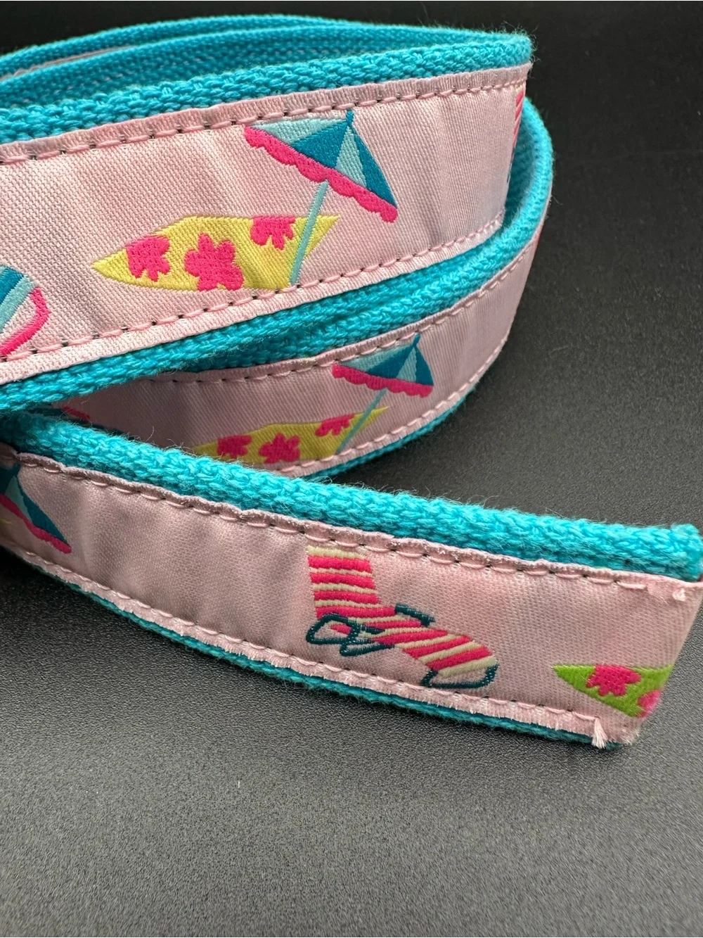 Douglas Paquette Beach Umbrella & Surfboard Belt – Pink & Teal, D-Ring, Size Med